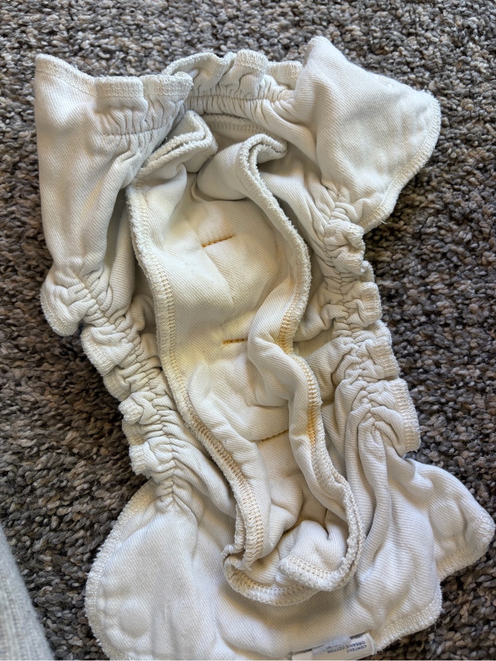 Cloth Diaper lot -  Esembly and others with inserts and  Coverss - Picture 8 of 10